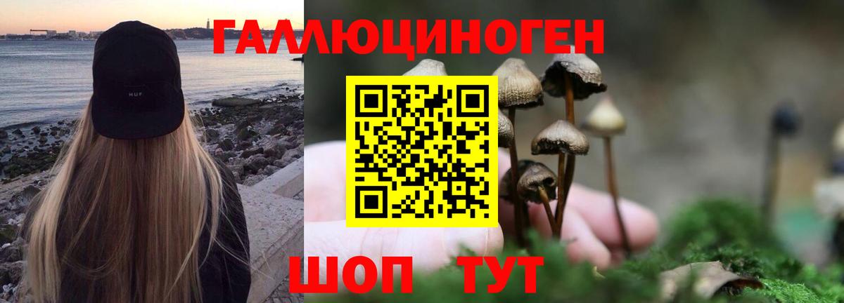 Жигулёвск  Псилоцибиновые грибы GOLDEN TEACHER  Вход с VPN 
